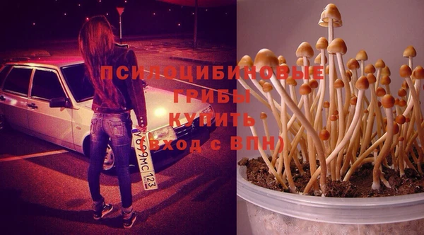 альфа пвп Михайловка