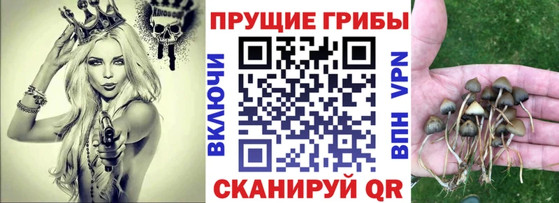 Псилоцибиновые грибы ЛСД  OMG tor  Нарьян-Мар  что такое наркотик 