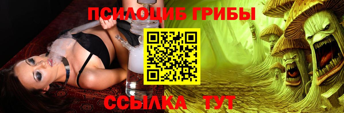 Псилоцибиновые грибы мухоморы  Вход с VPN  закладки  Нарьян-Мар  Галлюциногенные грибы Psilocybe 